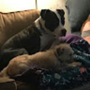 Meet your Posher, Renee